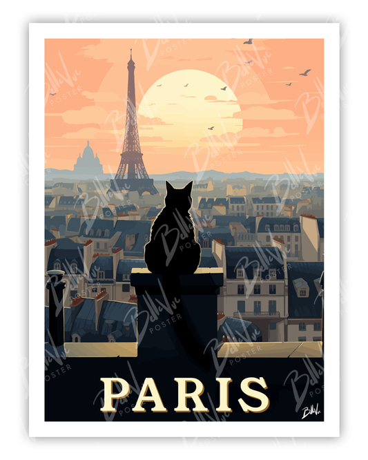 Paris - Chat