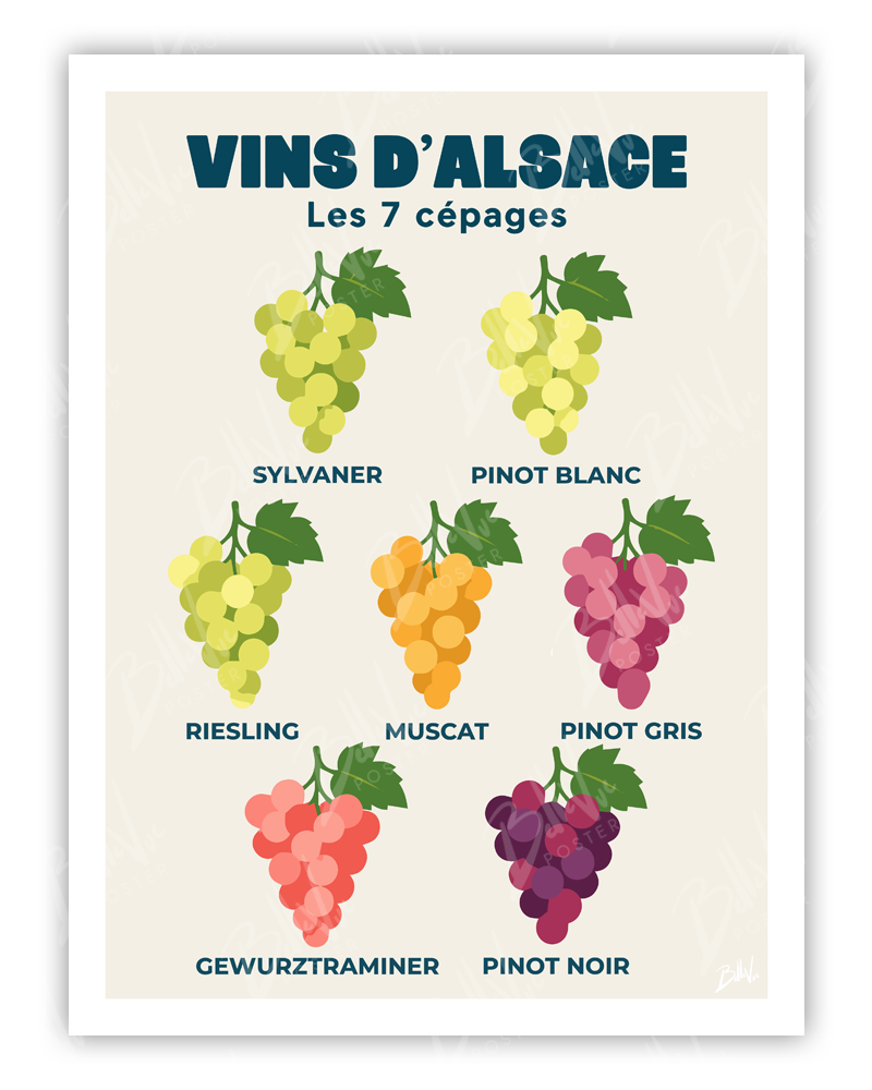 Affiche Vins d'Alsace - Les 7 cépages - illustration vintage, décoration murale, BelleVue Poster