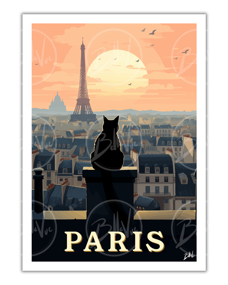 Paris - Chat